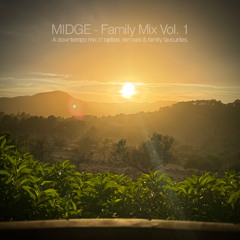 Family Mix Vol. 1 - Summer 2025
