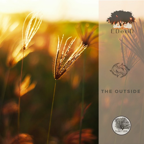 EdenD - The Outside( - 13 LUFS Version)