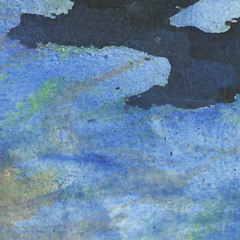 Then picks (naviarhaiku623)