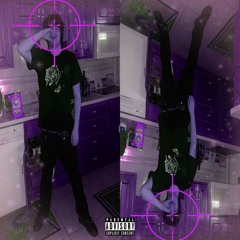 plugg // prod rosa