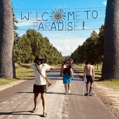 Alice in the wonderlands