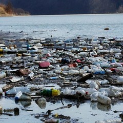 post flood plastic crisis
