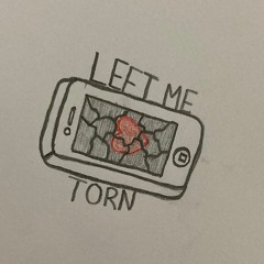 Left Me Torn