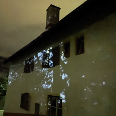 scherelae (sehen in pink)