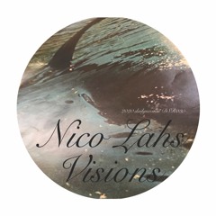 B2. Nico Lahs - Visions