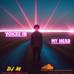 Voices in My Head
