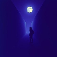 Counting Shadows