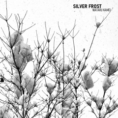 Silver Frost