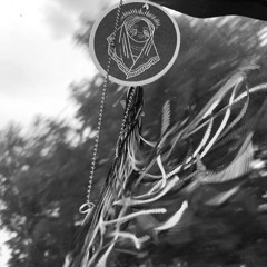 unknwn. - butterflies