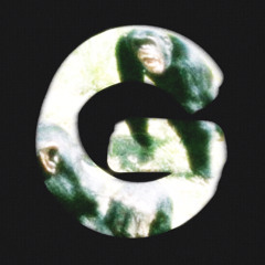 through the loop (demo)