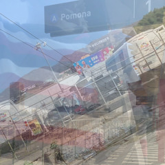 paramedic with stormy prod diomedes