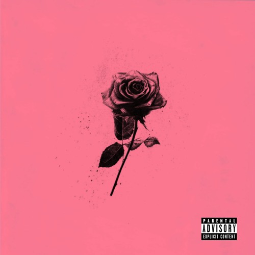 Dark Roses