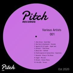Blurry Slur - Solitude (Original Mix)SNIPPET - Out Now on Pitch Records