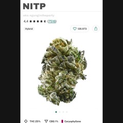 Grateful dead ft. ngungintheparty + duy_tdb