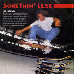 Nike SB