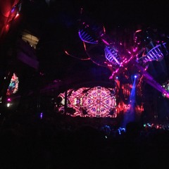 Secret Woodlands(Part 1)DJ SET Decibel