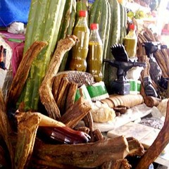 Shaolines del Amor - Camión gigante