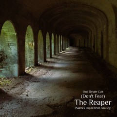 Blue Öyster Cult - (Don't Fear)The Reaper (Naktics Liquid DNB Bootleg)