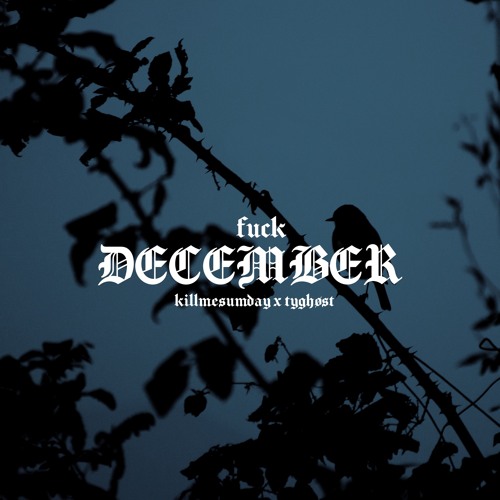 fuck december w/ tyghøst *video in description*