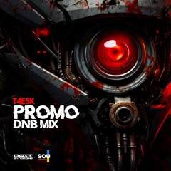 T4esk - Promo DnB Mix 2024