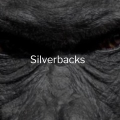 Episode 230 - The SIlverBack Digest