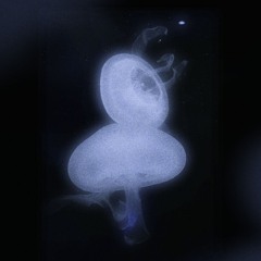 deep sleep