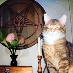 Crucifixion - P.vvornth