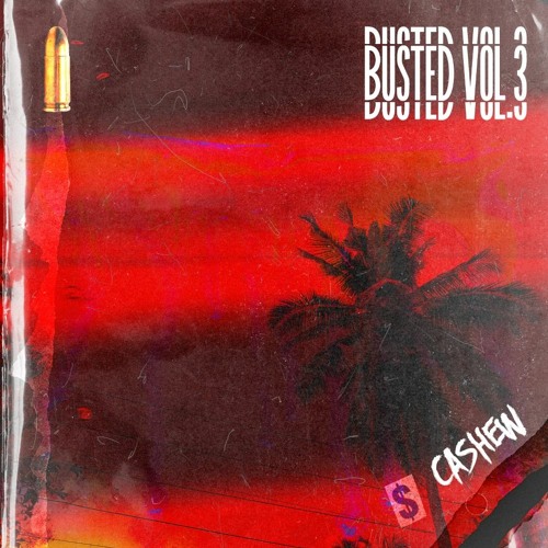 BUSTED VOL.3