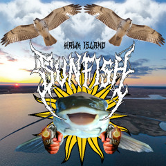 HAWK ISLAND