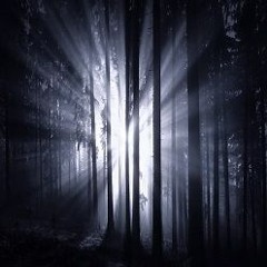 In The Dark Forest Alone