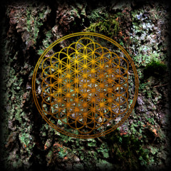 Can You Feel My Heart (unofficial remix)