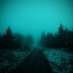Distorted Dream Images