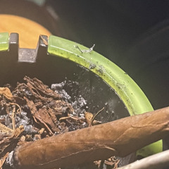 SOF5inco- protect ya neck jhit ft C3