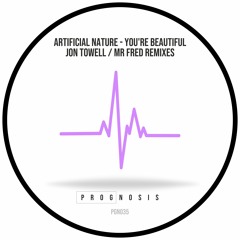 Artificial Nature - You're Beautiful - Mr Fred Remix - PGN035