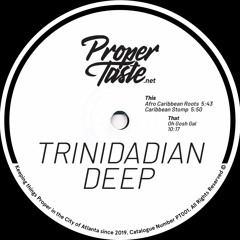 Trinidadian Deep - Afro Caribbean Roots (Snippet)