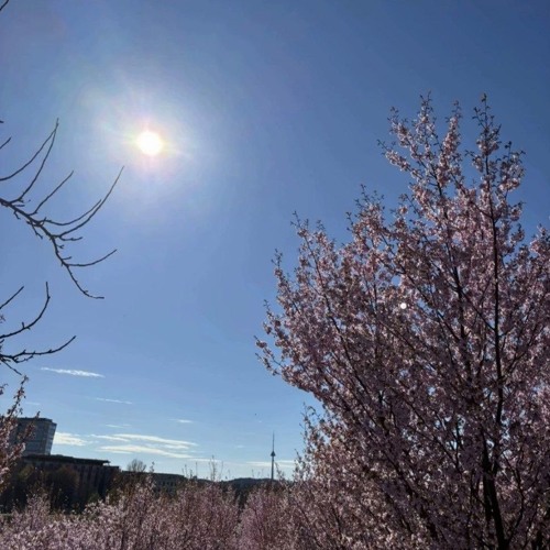 flowertouch