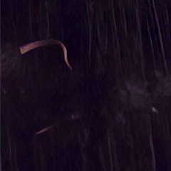 Serpientes No disponible