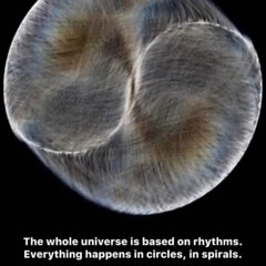 #002 beetje kloten.wav