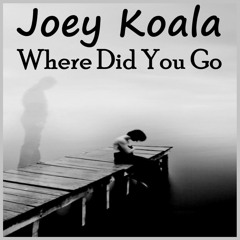Joey Koala ft I Manic Alice - Where Did You Go