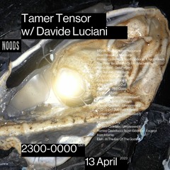 Tamer Tensor w/ Davide Luciani - Noods radio