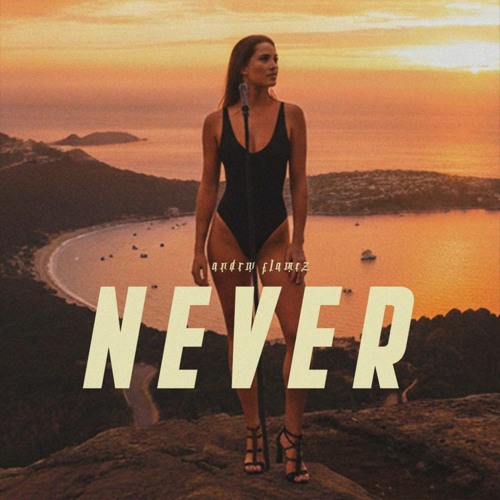 ANDRW FLAMEZ - NEVER