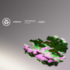 PREMIERE: Anotherframe - Synergy [SSS016]