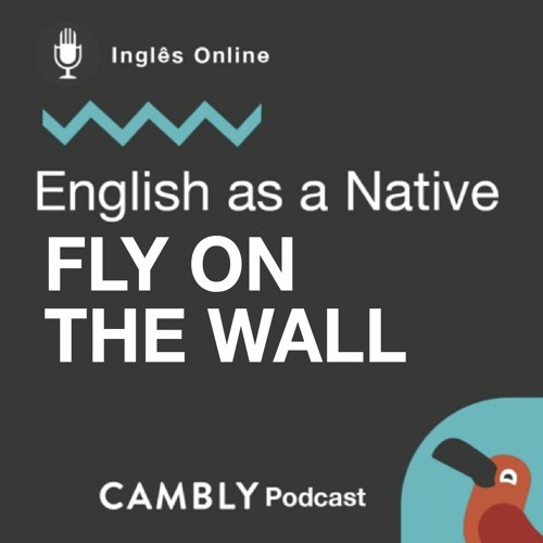 Stream episode Ep 206. O que significa 'Fly on the wall' em Inglês