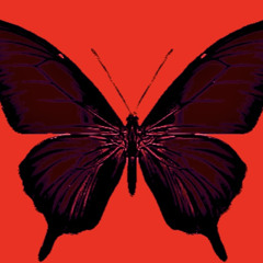 YPB TILLY - playboi carti (Close to you) remix