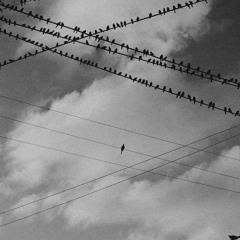 Oshky di phegle di io stargy di zarhy injilai  Pashto Song  ( Ijaz Ufaq )