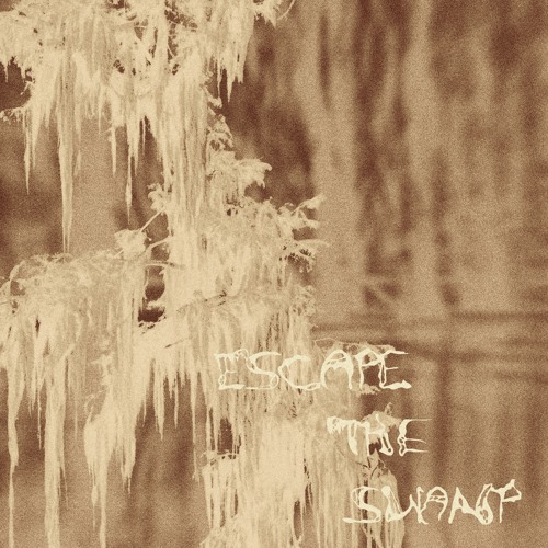 Escape the Swamp