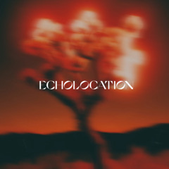 Chris Lake - Savana (Echolocation Remix)