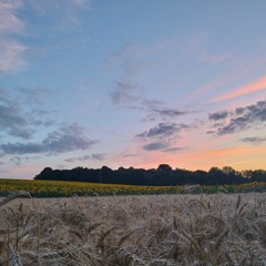 plus rien à fouttre