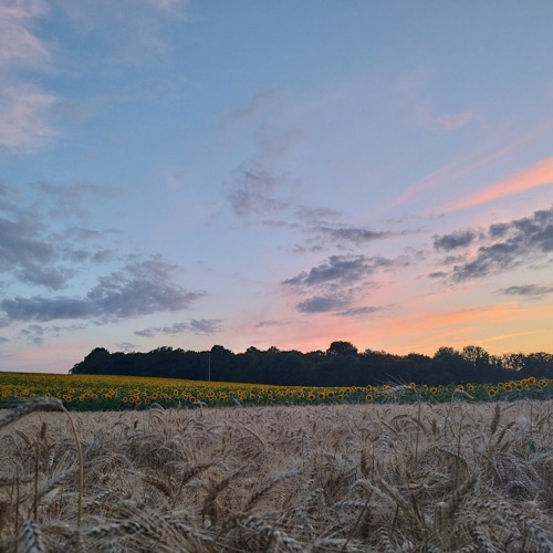 plus rien à fouttre