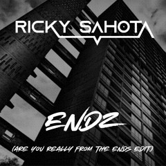 Ricky Sahota - Endz (Are you really from the endz edit ) FREE DOWNLOAD